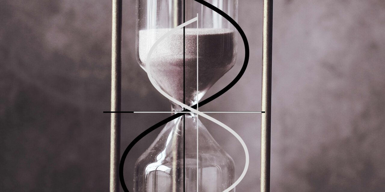 SERIES: THE MIRROR AND THE FOREST