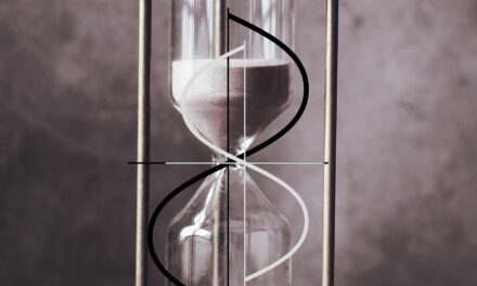 SERIES: THE MIRROR AND THE FOREST