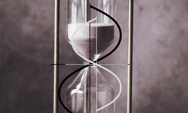 SERIES: THE MIRROR AND THE FOREST