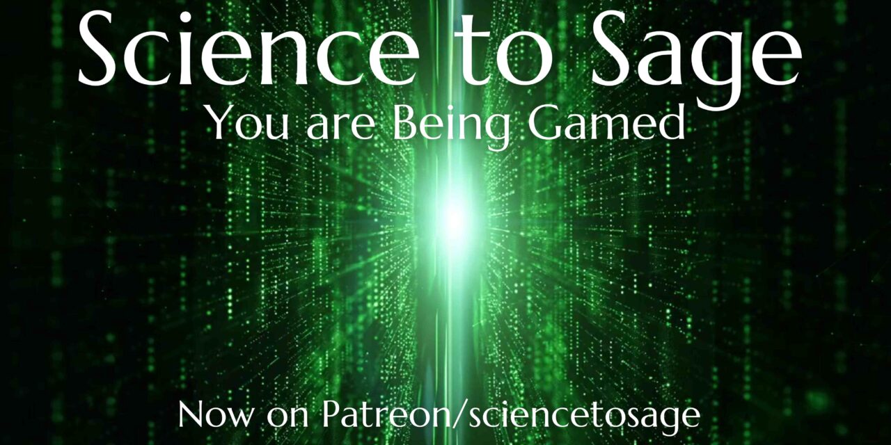 Intro to “You are Being Gamed