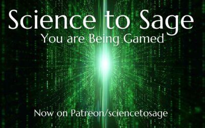 Test home page 8 Intro to “You are Being Gamed