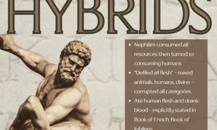 THE HUMAN STORY: HYBRIDS
