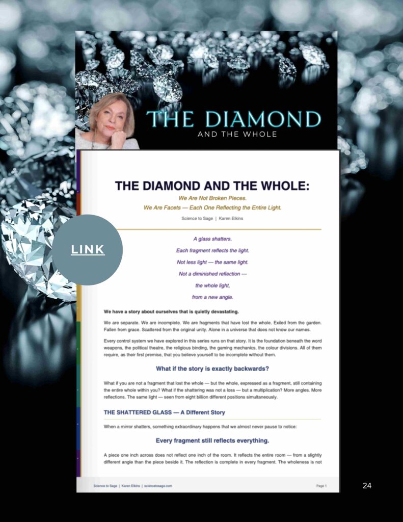 EXPLORING THE SILENCED 7 24