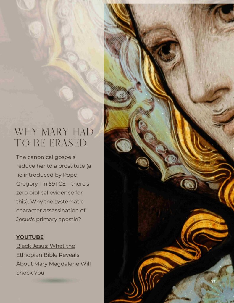 EXPLORING THE SILENCED 3 37