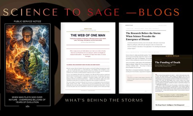 BEHIND THE STORM CHAOS