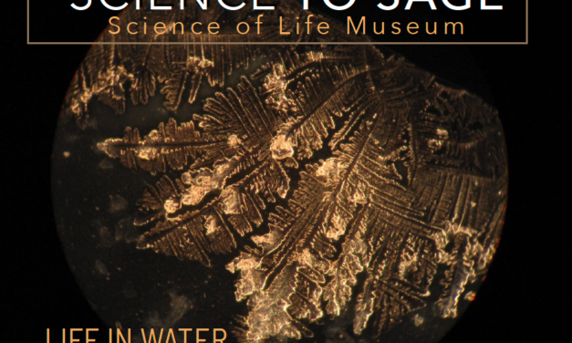 WATER GALLERY BY GEORG SCHROECKER