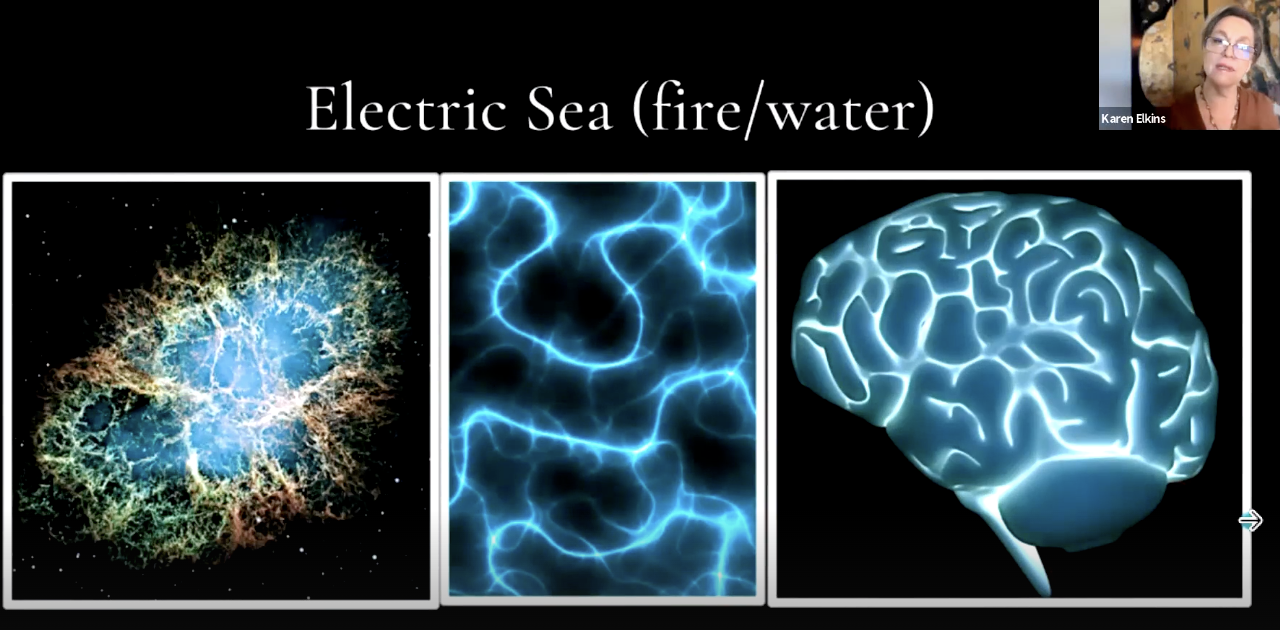 The Genius and Importance of Water with Karen Elkins on the Freedom Hub