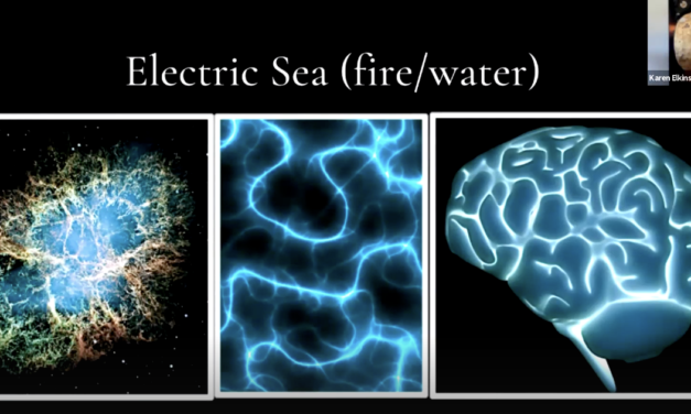 The Genius and Importance of Water with Karen Elkins on the Freedom Hub